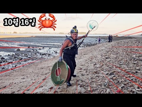 10월 16일 물높이 263 높은 물인대 이곳에서 꽃게를 과연 잡을수 있을까요?  