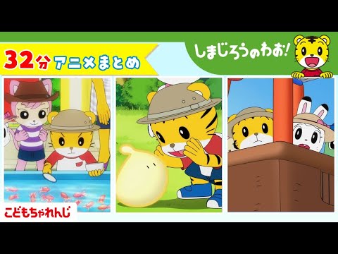 しまじろうのわお！アニメ動画まとめ｜本物はどっち?見どころ解説 サムネイル