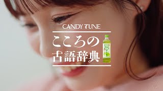 動画サムネイル