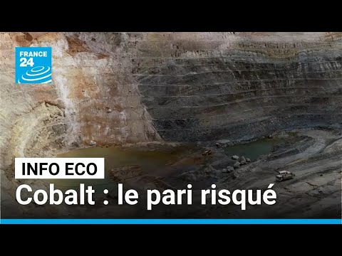 Cobalt : le pari risqué de la RDC • FRANCE 24