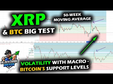 navigating-cryptocurrency-storms-bitcoin-volatility-and-market-insights