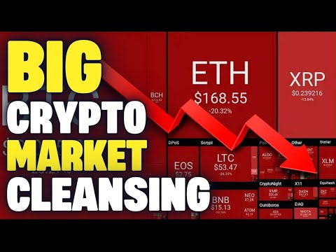 The BIG Bitcoin & Crypto Market Cleansing...