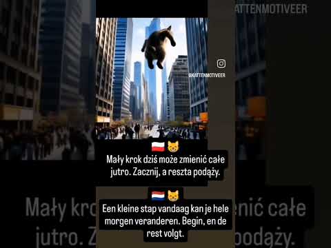 Een kleine stap vandaag kan je hele morgen veranderen. Begin, en de rest volgt.🫶🥰 #dc #codi