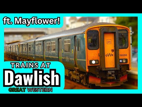 Trains at Dawlish, GWML - 15.6.24