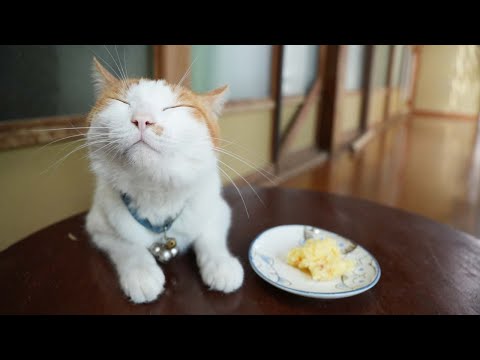 ちゃぶ台で味わうしんじゃがポトテサラダ｜レシピと盛り付け紹介 サムネイル