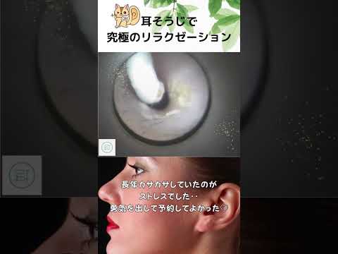 【耳掃除】長年カサカサしていたのがストレスでした‥勇気を出して予約してよかった♡ #イヤーエステ #耳そうじ #eariss #プロの技術 #耳かき #耳そうじ #耳美人クリエーター