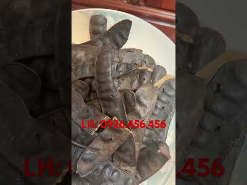 Trái bồ kết được ông bà ta từ hàng trăm năm trước dùng làm nước gội đầu hỗ trợ làm sạch gầu