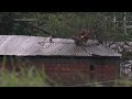 New storms batter Brazil, already reeling from deadly floods - 01:25 min - News - Video