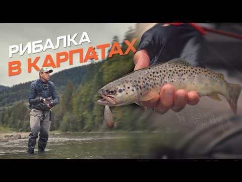 Неймовірно красива риболовля в Карпатах. Як спіймати форель і головня на Чорному Черемоші?