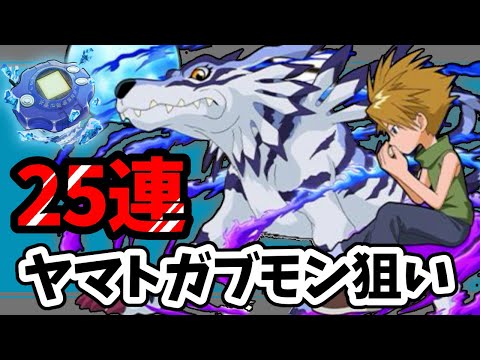 【パズドラ】ヤマト&ガブモン狙い！25連であわよくば2体出て欲しいな【デジモンアドベンチャー】