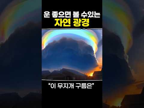 운 좋으면 볼 수 있는 자연 광경