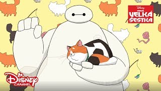 Baymax opatruje mačičky