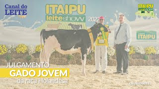 Itaipu Rural Show 2023 - Julgamento do Gado Jovem da Raça Holandesa