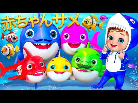 ベイビーシャークのぼうけん - 童謡とキッズソング - 子供向け - バナナ手話漫画 #cocomelon #babysharksong