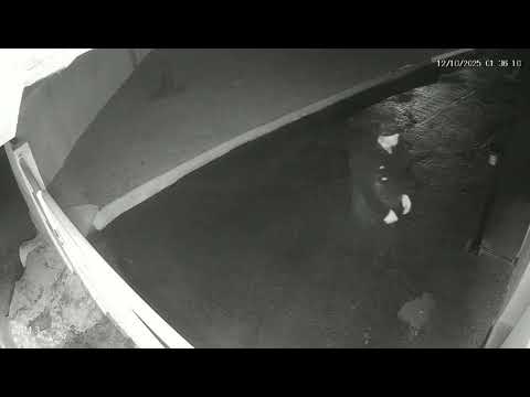 Imagens mostram grupo armado durante tentativa de assalto a avião em aeroclube de Santa Rita