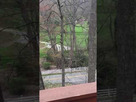 宿泊施設による動画