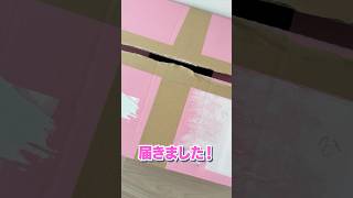 STPRからやばいものが届きました...
