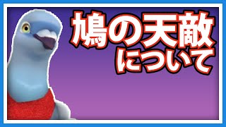 【羽鳥ぽぽぽ】鳩の天敵を紹介【第297羽】