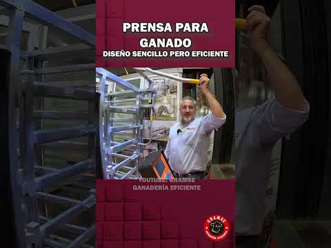 El mejor diseño para tenerlo en nuestros corrales #ganaderia #corral #feedlot #toros #ganado #toros