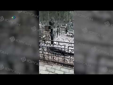 Гнусный вандал расхищавщий надгробия на сыктывкарском кладбище объявлен в розыск