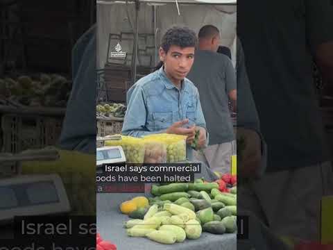 Food affordability fears plague Gaza as Israel halts commercial goods | AJ #shorts