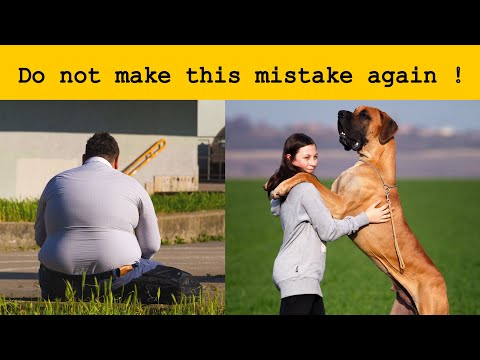 Don't Make This Mistake Again ! you need to know about your pet