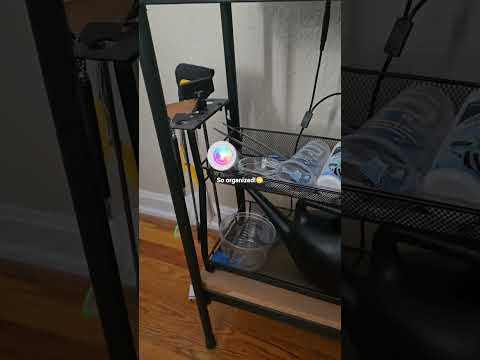 #pets #dog #aquarium #funny #shortsviral #blowthisaccountup #youtubeshorts #cute