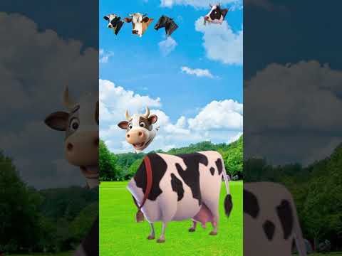 #cow#animation#cartoon#viralvideo#comedy#trending#animals#viral