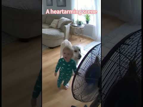 Phillies land All-Star closer Jhoan Duran ahead of MLB trade deadline 👀🔥 #JhoanDuran