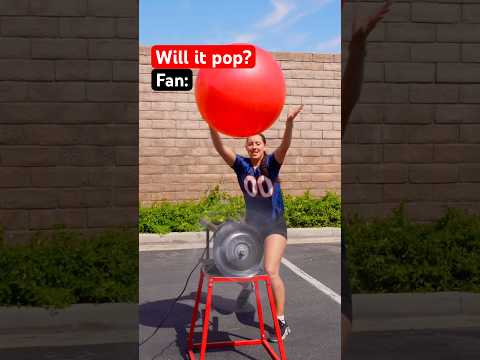 What pops a yoga ball? 🤔