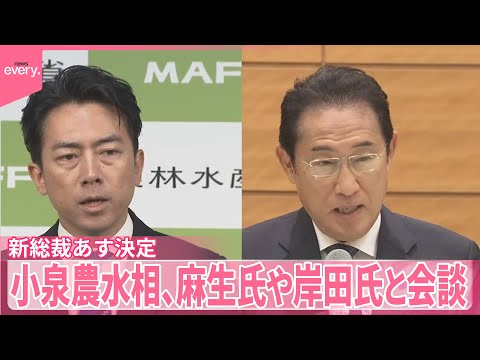 自民党総裁選 2025年 小泉農水相の動きと今後の展望 サムネイル