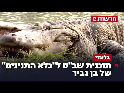אגף המחבלים יוקף בתעלה: תוכנית שב"ס ל"כלא התנינים" של בן גביר