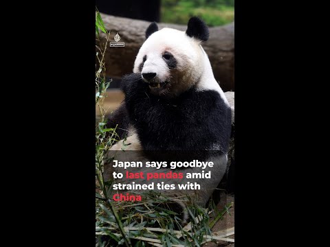 Japan says goodbye to last pandas amid strained ties with China | AJ #shorts