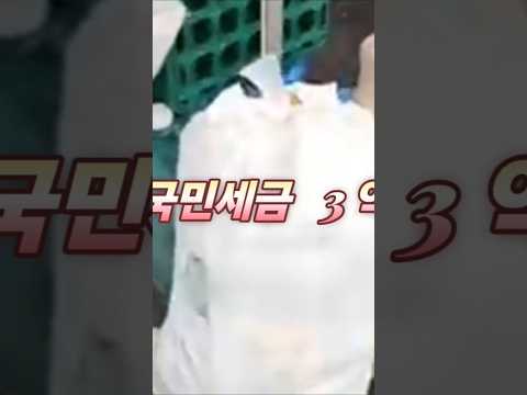 자갈치  축제  🔥   폐쇄되어야 합니다