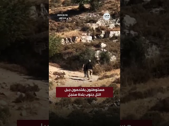 #شاهد مستوطنون يقتحمون جبل التل جنوب بلدة سنجل شمال رام الله