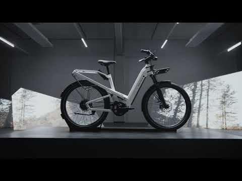 Riese & Müller Homage - Full Suspension, Step-Through, Extended Range  Electric Bike