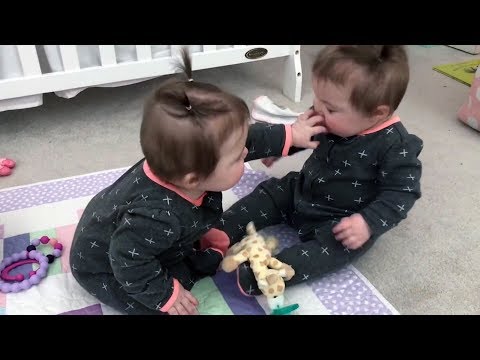ADORABLE TWIN BABIES Share Pacifier and Fighting!