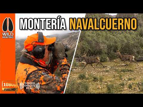 MONTERÍA NAVALCUERNO 2026 | WILD HUNTING ROPA DE CAZA