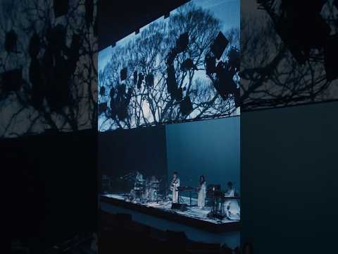 #フクロウ  #サカナクション #sakanaction  #SAKANAQUARIUM2025怪獣