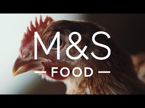 marksandspencer.com & Marks and Spencer Discount Code video: Oakham Gold Chicken | Farm to Foodhall | M&S Food