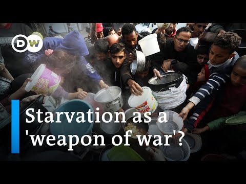Israel's army chief says Gaza war to last 'many more months' |  DW News