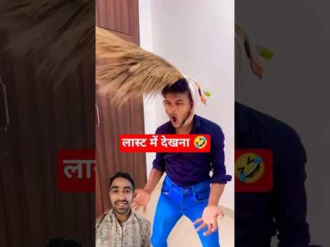 A disabled duckling helps his cat friend 🐥 #DuckRescue #CuteAnimal #AnimalRescue 341