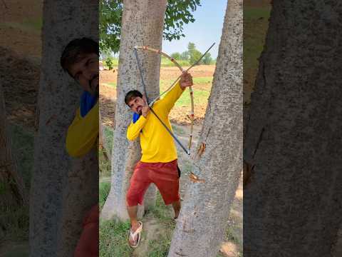 Birds ko Bacha Lia 3 #birds #shortvideos