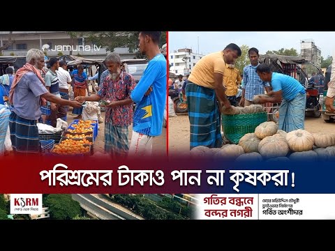কষ্ট করে ফসল ফলায় কৃষক আর টাকা যায় অন্যের পকেটে! | Bogura Vegetable | Jamuna TV