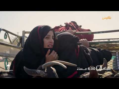 قناة بلقيس الفضائية
