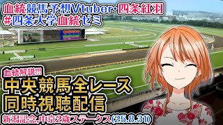 【競馬同時視聴配信】新潟記念,中京2歳S 2025 中央競馬ライブ  四条大学血統ゼミ