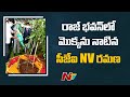 CJI NV Ramana plants sapling in Raj Bhavan, Hyderabad; MP Santosh