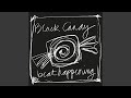 Beat Happening: Black Candy Vinyl & CD. Norman Records UK