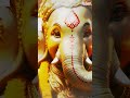 శరణమో విఘ్నేశ్వరా #ganeshbhajan #ganeshsongs #ganeshchaturthi #ganeshsongstelugu #adityabhakthi - 00:57 min - News - Video