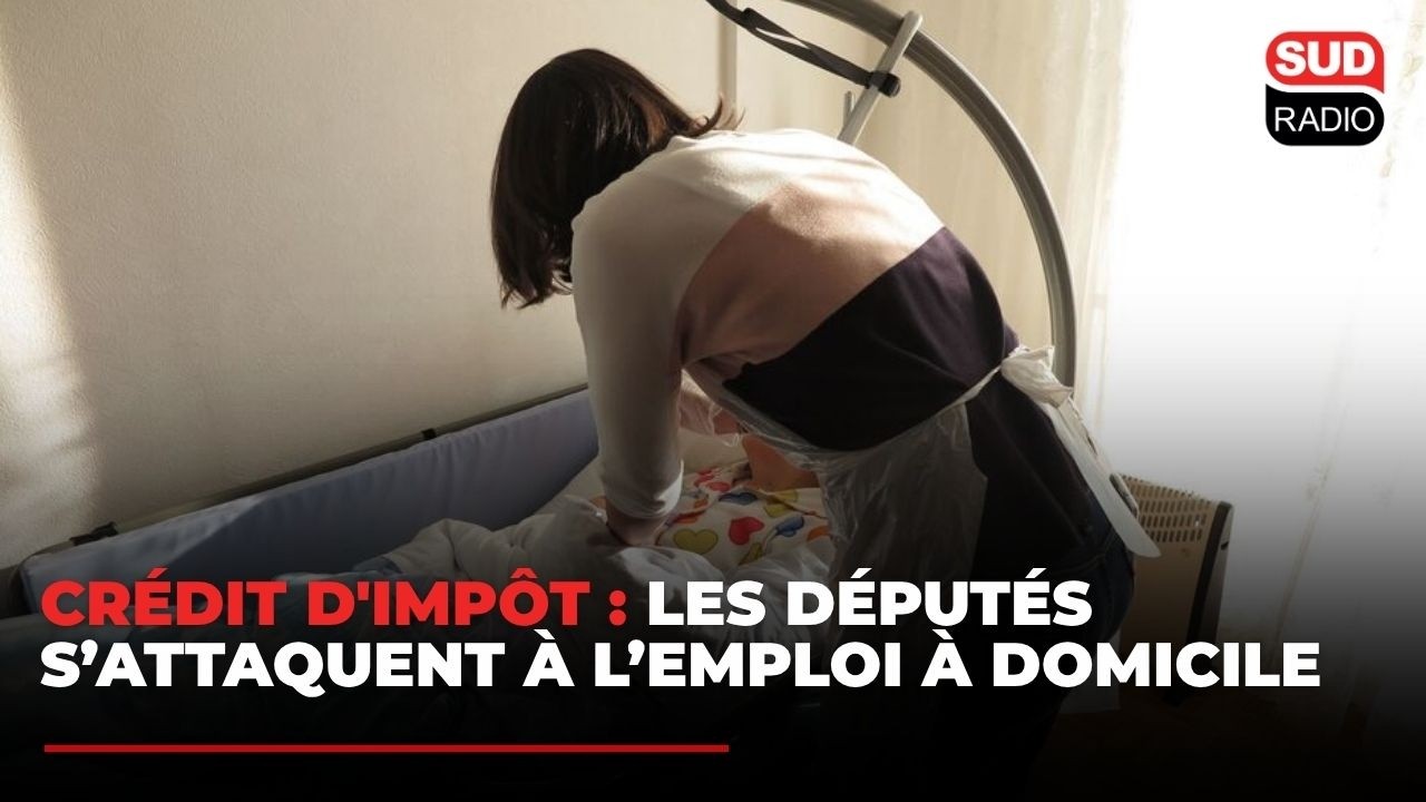 Les députés s’attaquent à l’emploi à domicile